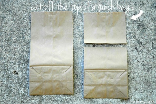 Two paper lunch bags.